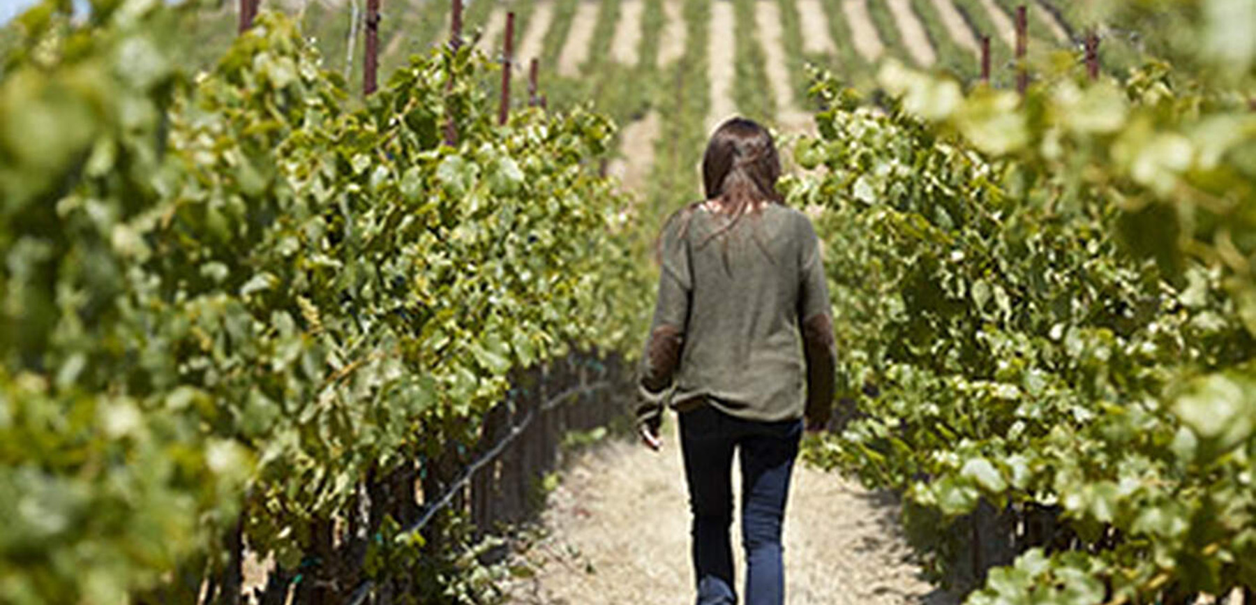 Winemaker Nicole Hitchcock walking through a vineyard