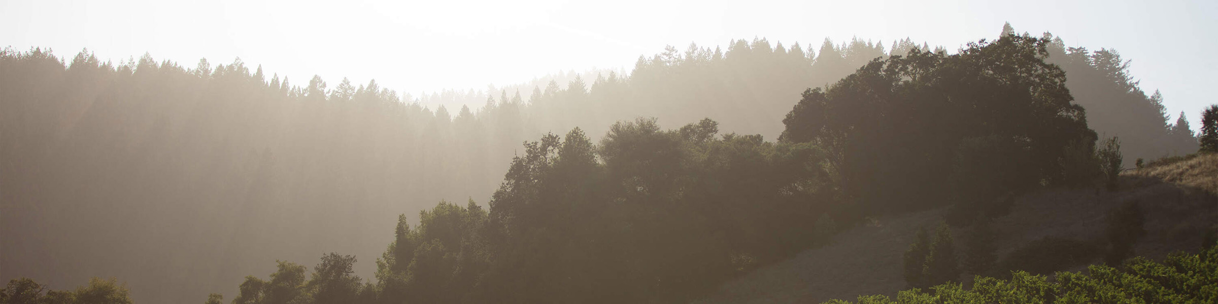 Russian River Valley sunrise.