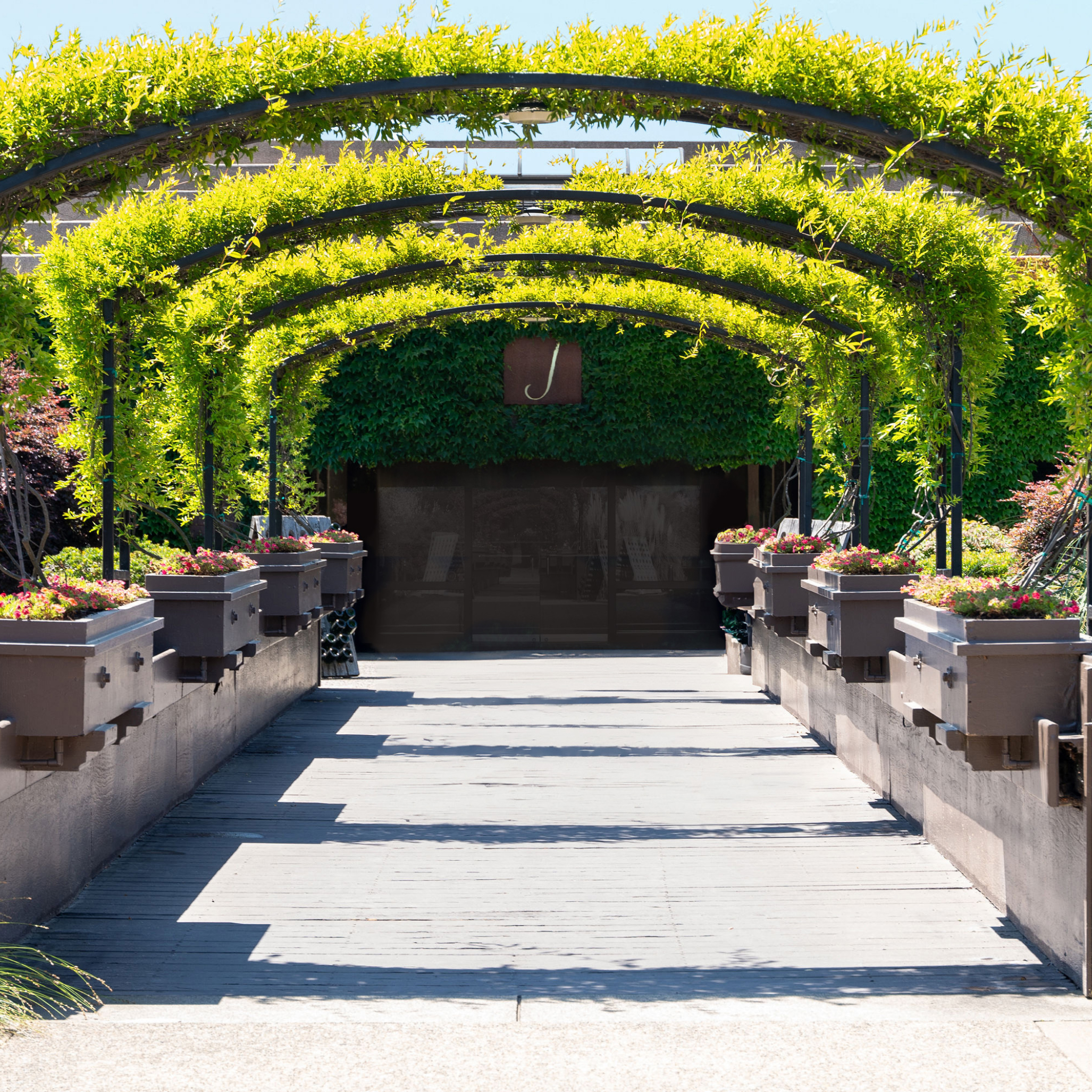 Healdsburg and Sonoma Wine Tasting