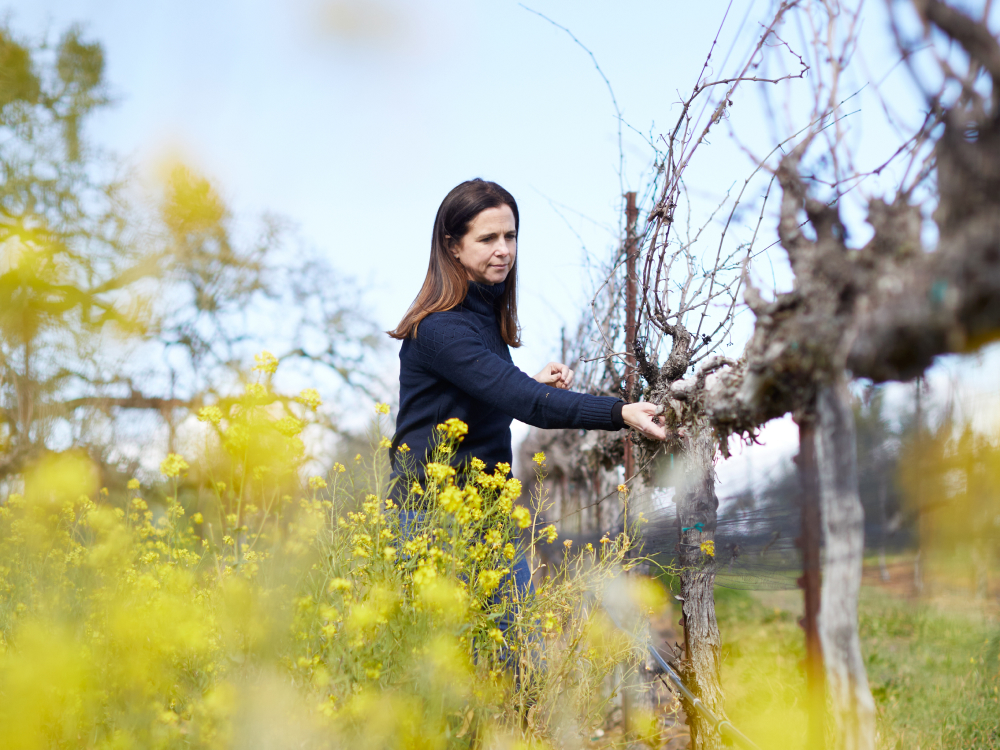 Nicole Hitchcock was named Winemaker of the year in 2022 by Wine Enthusiast