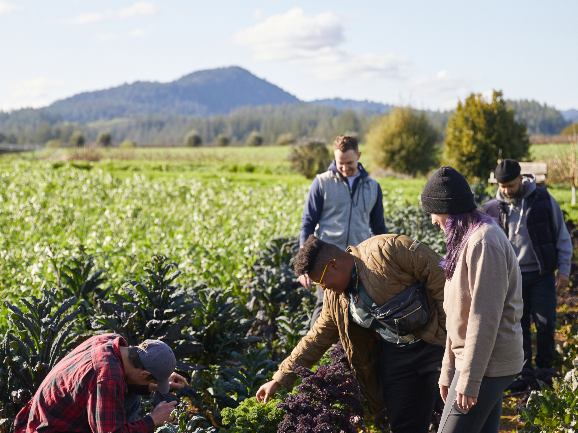 The culinary series, Shifting the Lens, is a proud sponsor of Shone Farm