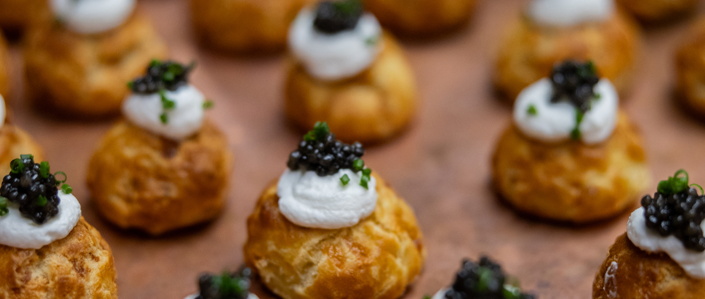 Healdsburg Art of Food and Wine
