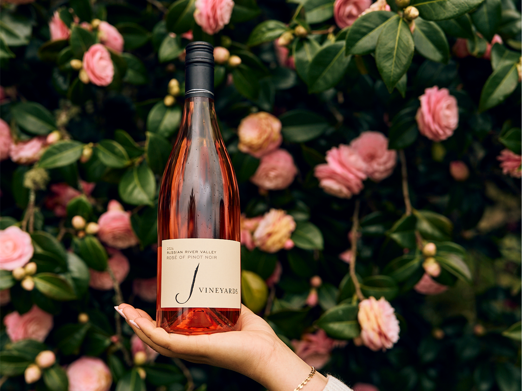 Lifestyle 2024 Rosé of Pinot Noir