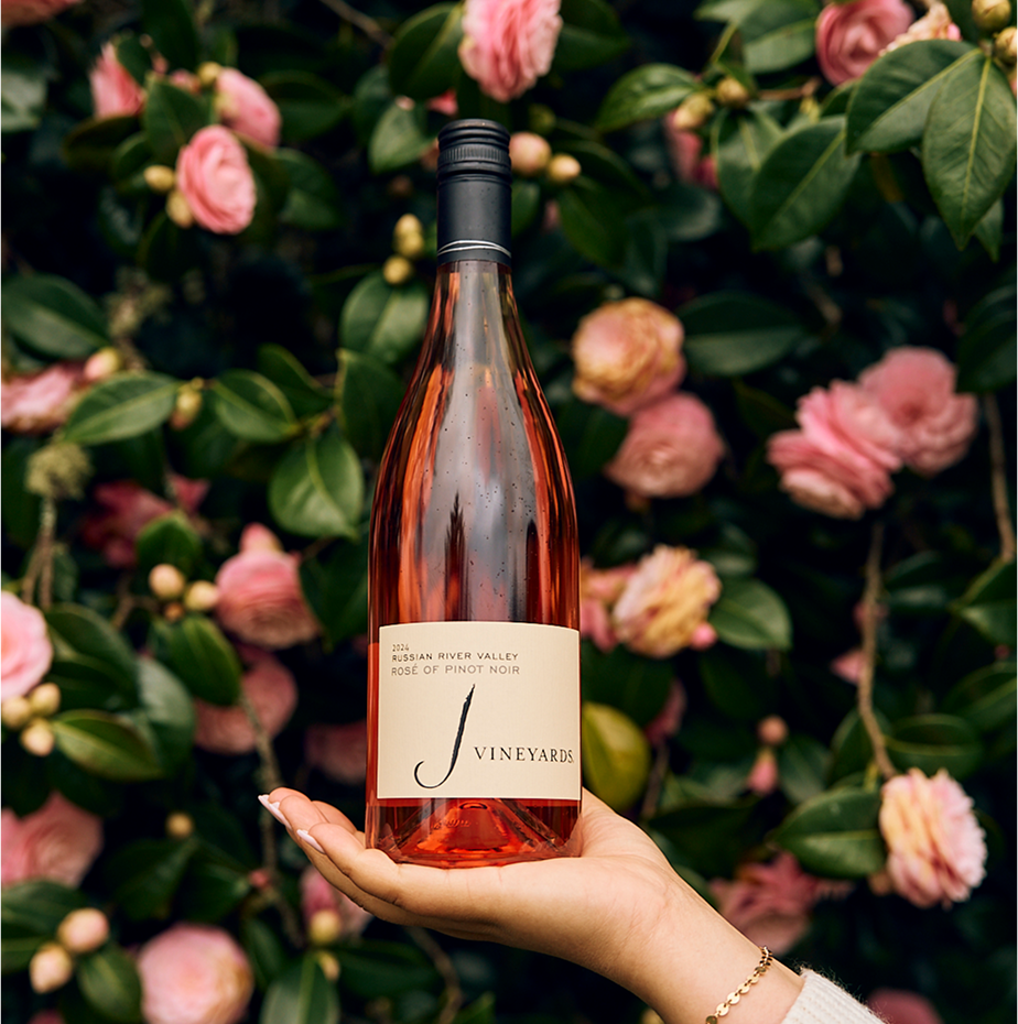 2024 Rosé of Pinot Noir 