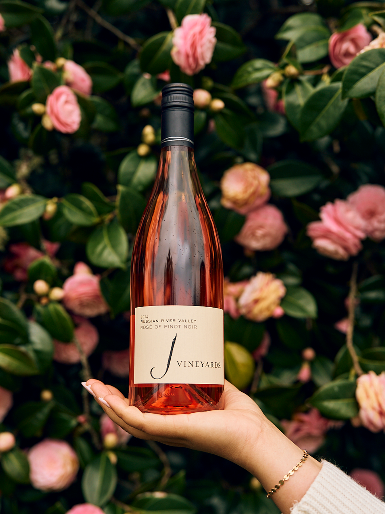 2024 Rosé of Pinot Noir