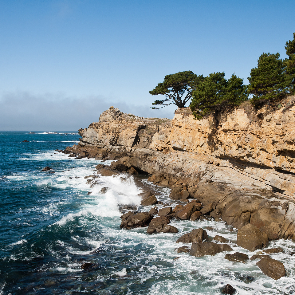 Russian River Valley Coast
