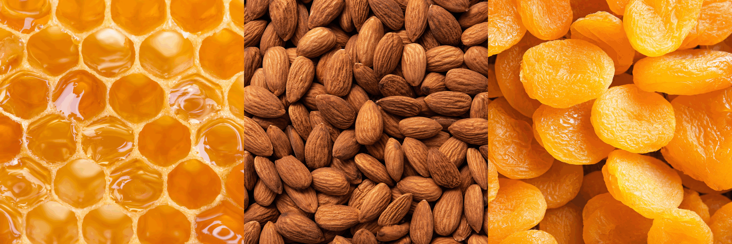 XLD Tasting Notes Imagery