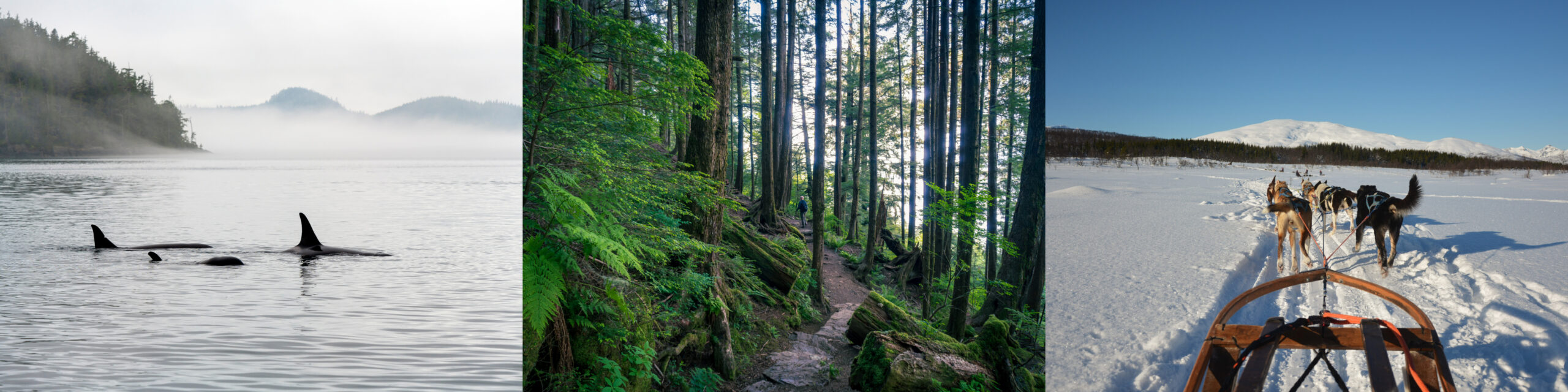 Windstar Alaska Activities