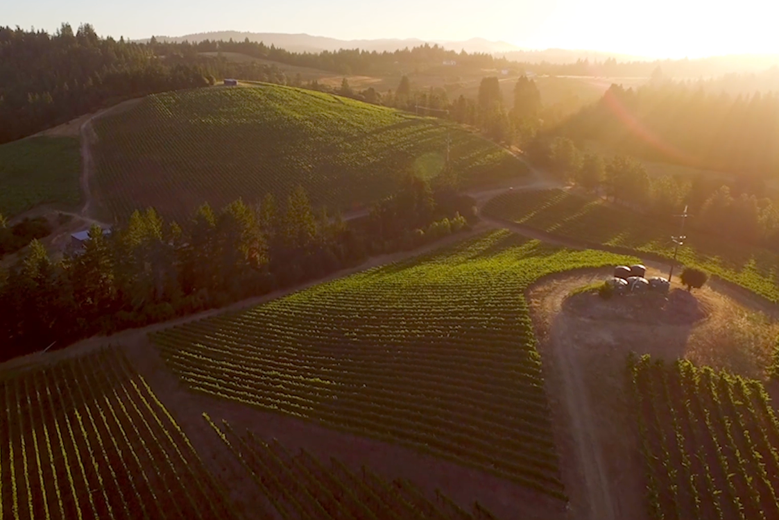 Russian River Valley