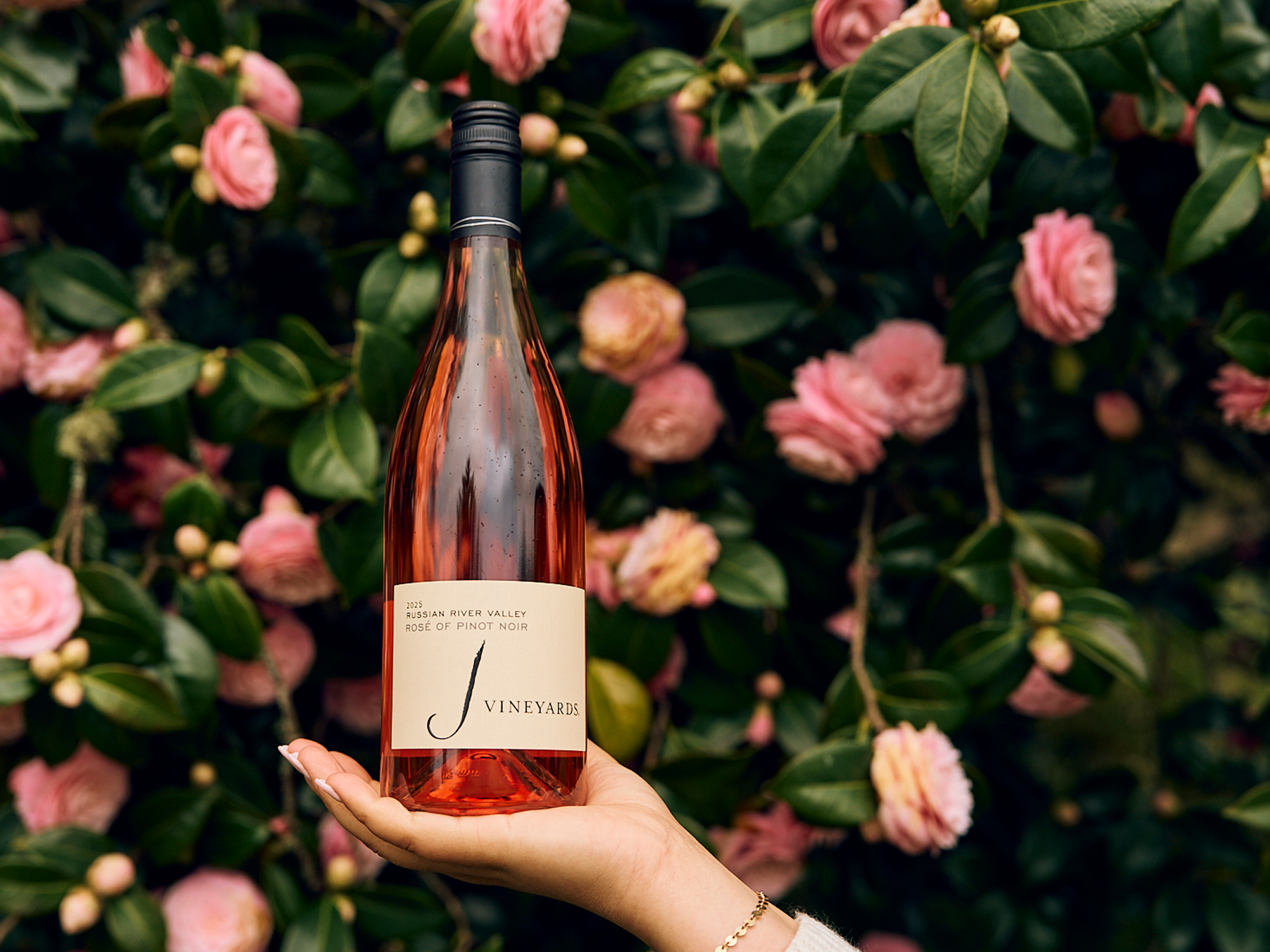 2025 Rosé of Pinot Noir