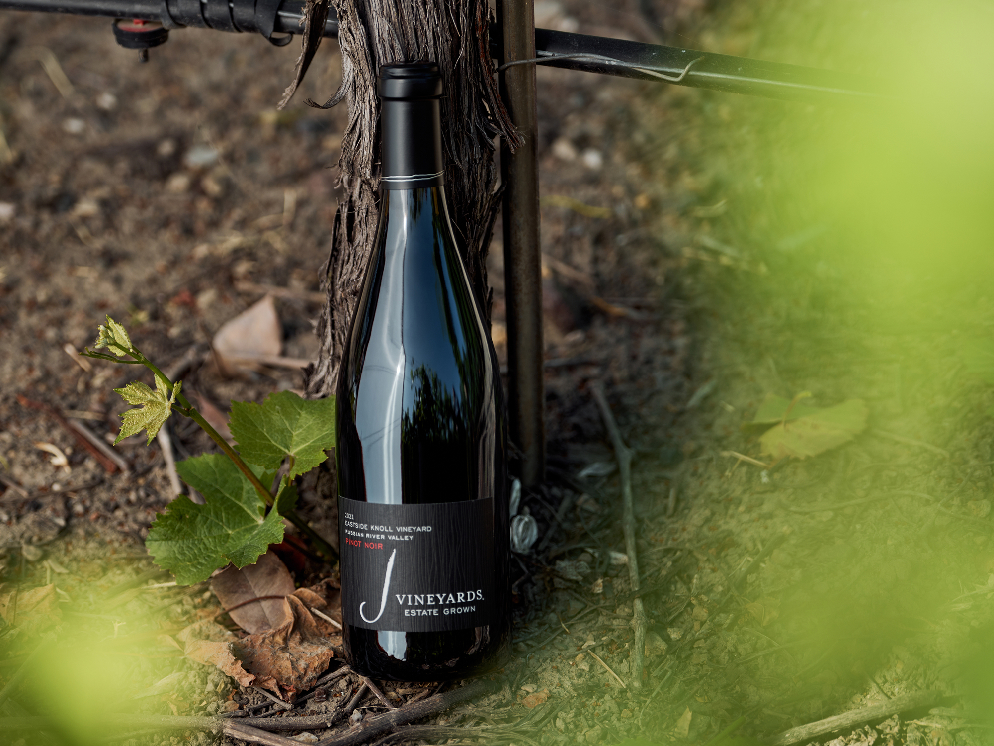 2024 Eastside Knoll Pinot Noir