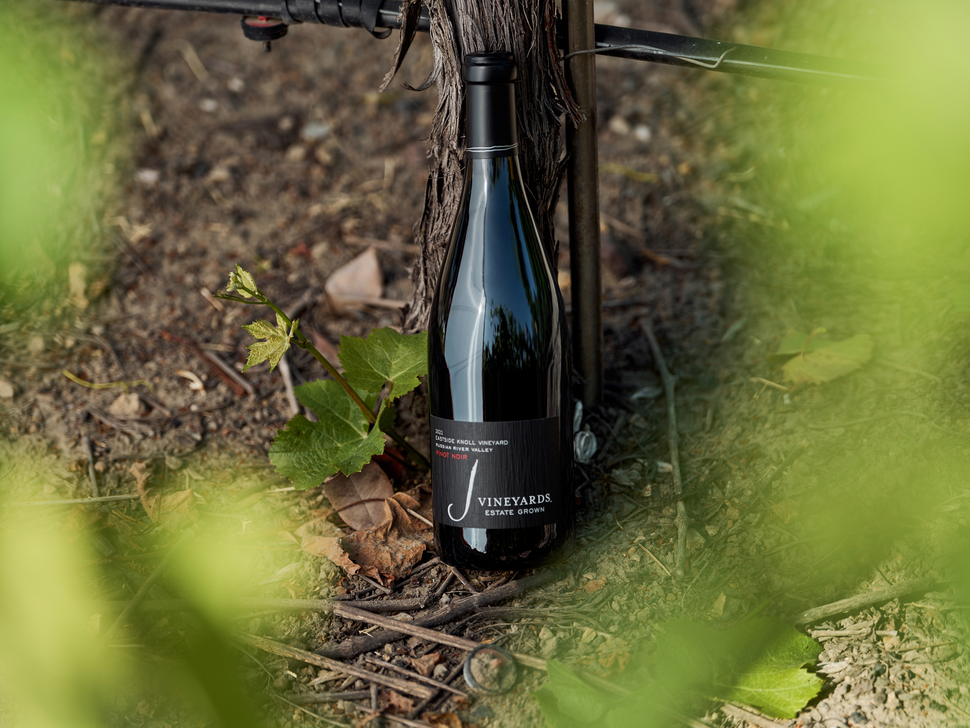2024 Eastside Knoll Pinot Noir
